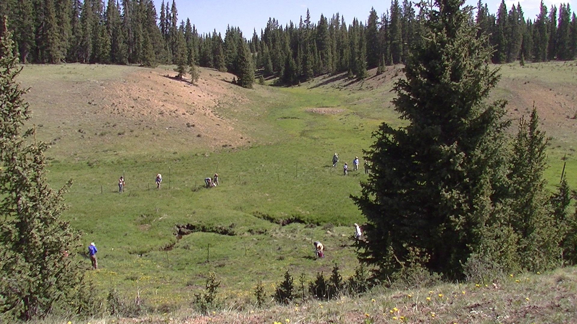 Photo 1 from Amigos Bravos